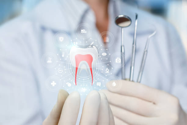 Best Root Canal Treatment  in Grasonville, MD
